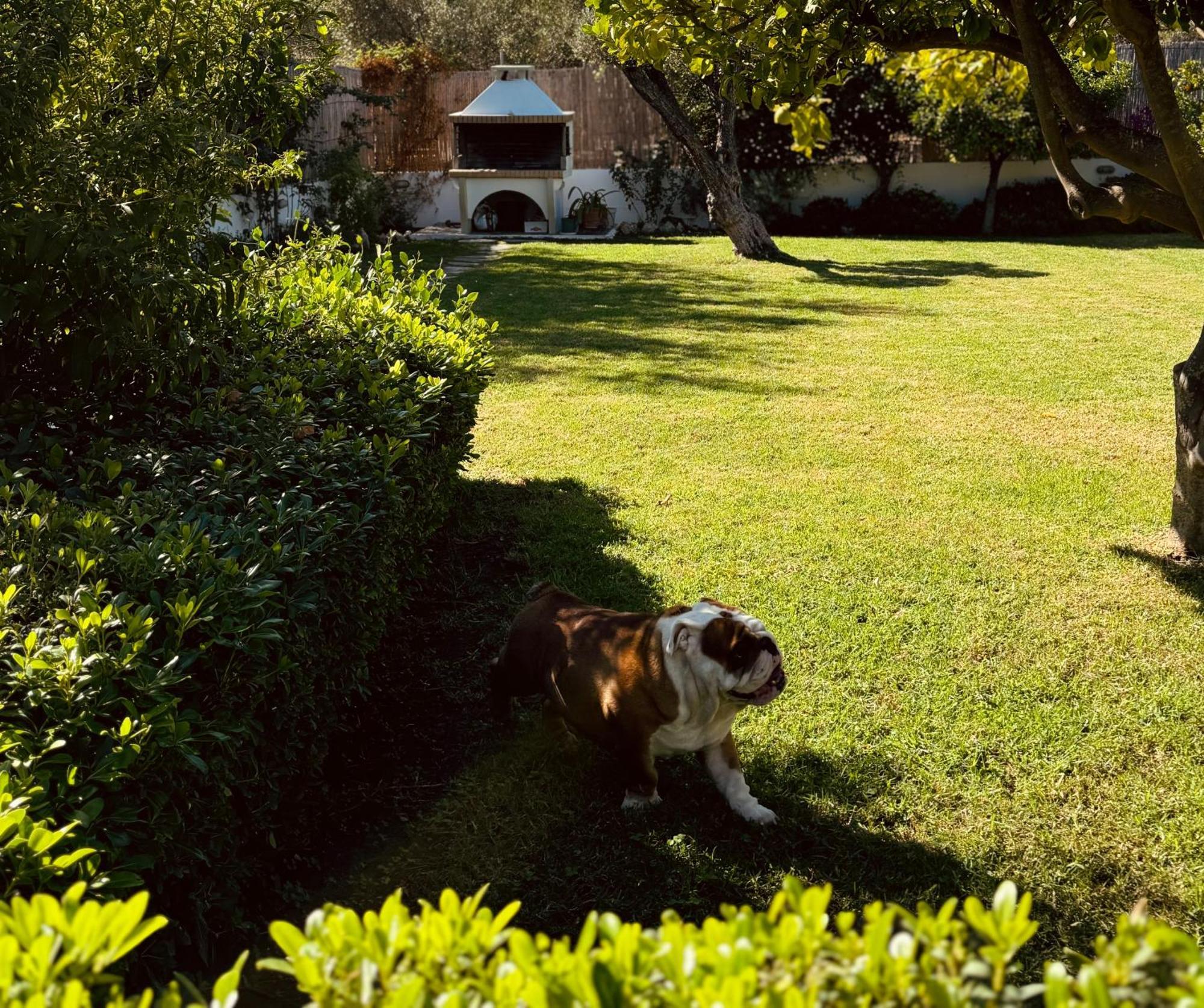 Archangelos Garden House 외부 사진